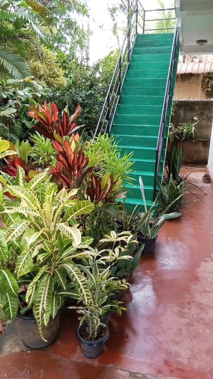Dana Guest Home ミリッサ エクステリア 写真